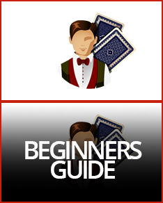 Beginners Guide